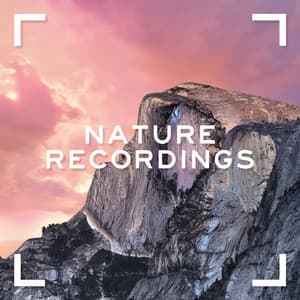 Nature Recordings - Sounds for Life