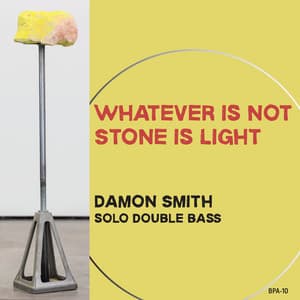 Whatever is Not Stone is Light - Damon Smith