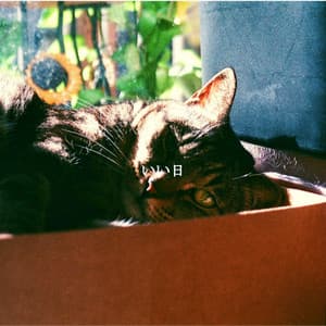 いい日 - Cool Jazz Moods