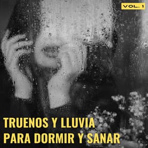 Truenos Y Lluvia Para Dormir Y Sanar Vol. 1 - Trueno etc