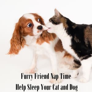 Furry Friend Nap Time: Help Sleep Your Cats and Dogs - Green Noise!