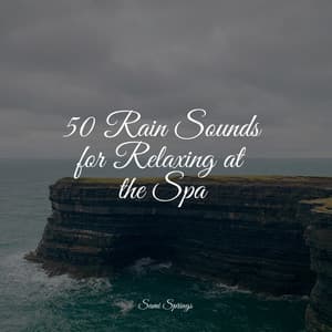 50 Rain Sounds for Relaxing at the Spa - Relaxing Nature Sounds Collection