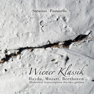 Wiener Klassik - Ferdinando Carulli