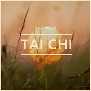 2 Horas de Tai Chi: Música para Encontrar el Equilibrio Emocional y la Paz Mental - Reiki y Tai Chi Armonía
