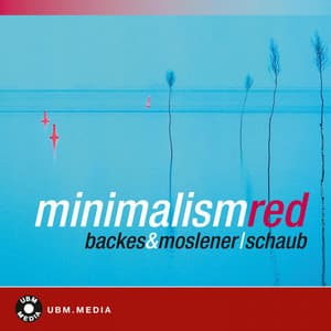Minimalism Red - Reinhard Schaub