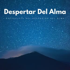 Naturaleza Del Despertar Del Alma - Sonidos Naturaleza