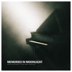 Memories in Moonlight: Acoustic Piano Music - Paris Restaurant Piano Music Masters
