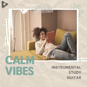 Instrumental Study Guitar - Calm Vibes