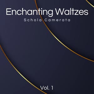 Enchanting Waltzes Vol.1 - Johann Strauss