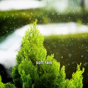 * soft rain * - Lightning, Thunder and Rain Storm