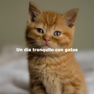 Un día tranquilo con gatos - Peaceful Autumn Instrumental Jazz