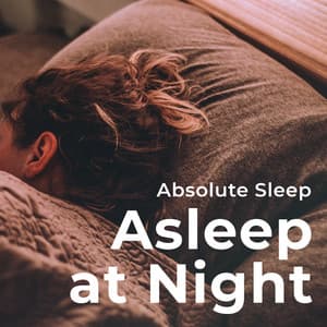 Asleep at Night - Absolute Sleep