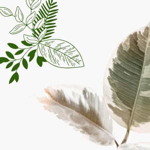 Bgm for Coffee Ways - Jazz Romántica para Hoteles