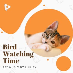 Bird Watching Time - Pet Music by Lullify