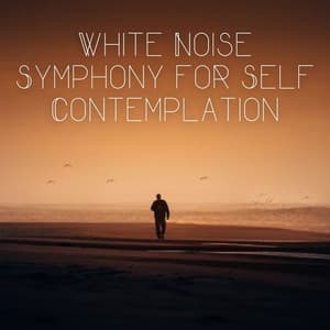 White Noise Symphony for Self Contemplation - White Noise Healing Power
