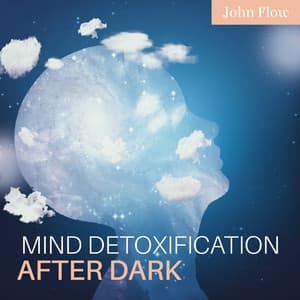 Mind Detoxification after Dark - John Flow