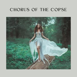 Chorus of the Copse - Nature Sleep