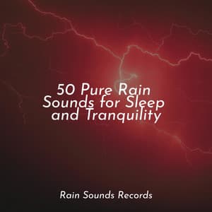 50 Pure Rain Sounds for Sleep and Tranquility - New Age