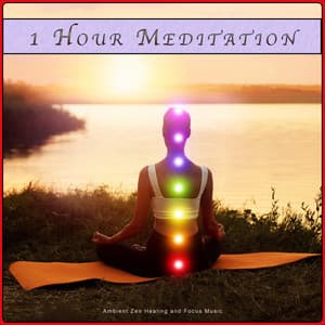 1 Hour Meditation: Ambient Zen Healing and Focus Music - Meditation Music Solitude