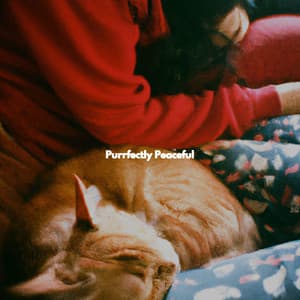 Purrfectly Peaceful - Jazz Rilassante Retro