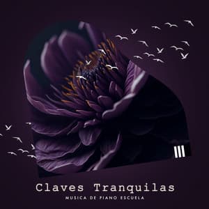Claves Tranquilas - Musica de Piano Escuela