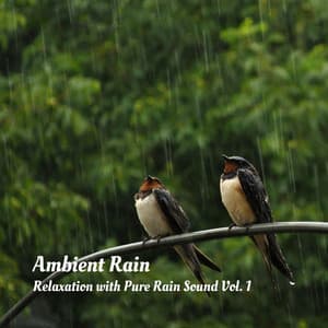 Ambient Rain: Relaxation with Pure Rain Sound Vol. 1 - 101 Nature