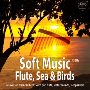Soft Music Flute, Sea and Birds - Relaxation Music  with Pan Flute, Water Sounds, Sleep Music. - Torsten Abrolat
