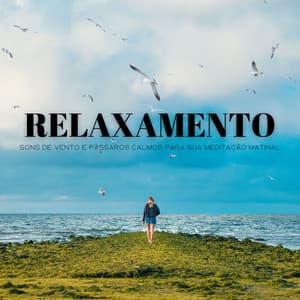 Relaxamento: Sons De Vento E Pássaros Calmos Para Súa Meditação Matinal - Música Para Cães Adormecidos