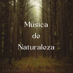 Música De Naturaleza: Cantándole Al Viento Vol. 1 - Efectos especiales del bosque