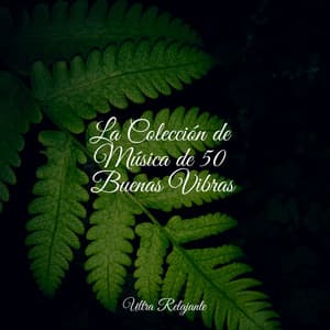 La Colección de Música de 50 Buenas Vibras - Dormir e Meditar