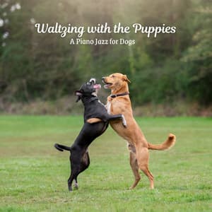 Waltzing with the Puppies: A Piano Jazz for Dogs - Christian Piano Music