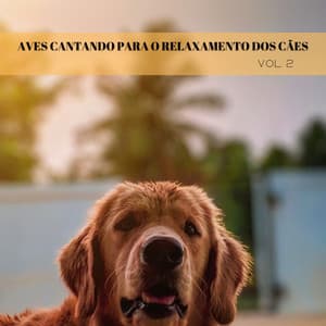 Aves Cantando Para O Relaxamento Dos Cães Vol. 2 - Musica Relajante