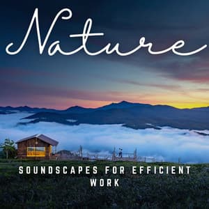 Productivity Rhythms: Soundscapes for Efficient Work - Pure Work Music