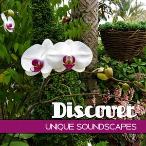Discover Unique Soundscapes - Pure Sound Universe