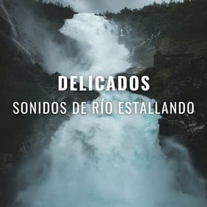 Delicados Sonidos De Río Estallando - Corriente Meteorica