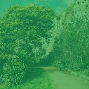 Ambiance for Devoted Inspiration - Música Moderna para Cafeterías