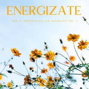 Energizate Con El Ambiente Del Río Veraniego Vol. 1 - Sonido del Agua Ruido Blanco Natural