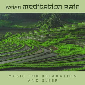 Asian Meditation Rain Music for Relaxation and Sleep - Healing Rain Music Zone