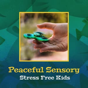Peaceful Sensory - Relieving Stress Music Collection