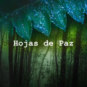 Hojas de Paz - Sonidos Del Bosque