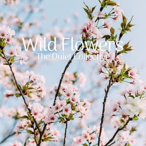Wild Flowers - The Quiet Collective