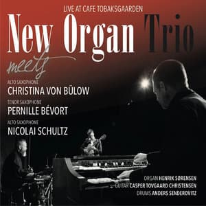 New Organ Trio Meets......Live At Tobaksgaarden - Henrik Sørensen