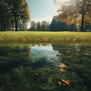 Relaxation's Breath: Music for Calmness - Relax Arte