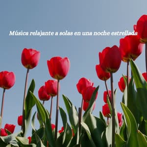 Música relajante a solas en una noche estrellada - Cafe Chillout Classics