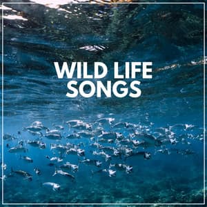Wild Life Songs - Nature Sound Series