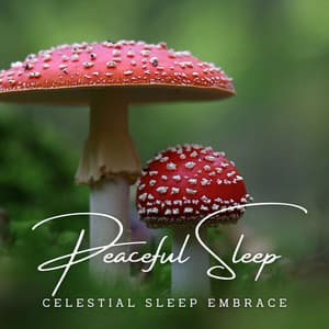 Serenity's Dreamscapes: Meditative Sounds for Peaceful Sleep - Dreaming Your Dreams