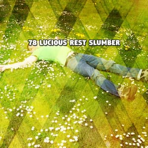 78 Lucious Rest Slumber - Relaxing Sleep Music