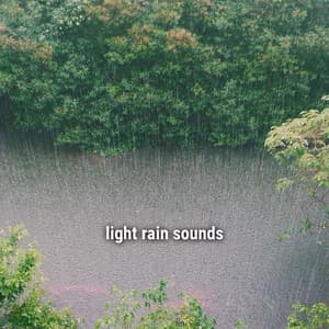 light rain sounds - Lightning, Thunder and Rain Storm