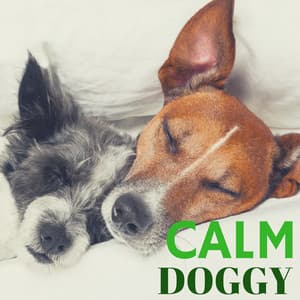 Calm Doggy – Relaxing Music Therapy for Dogs and Pets, Mellow Sounds to Calm Down, Sleep Relaxation - Calm Doggy