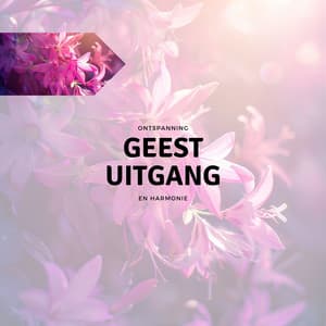 Geest Uitgang - Ontspanning en Harmonie